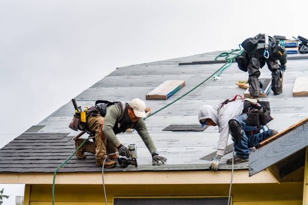 Professional Roofing technician working in Whitt, TX